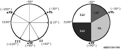 vectors